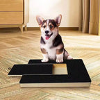 PawsitiveGrit™ Stress-Free Dog Nail Scratch Board